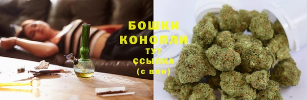 молекула духа Карпинск