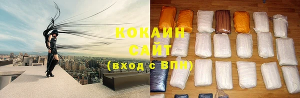 молекула духа Карпинск