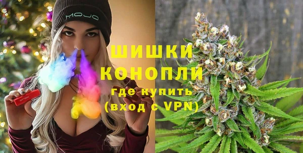 молекула духа Карпинск