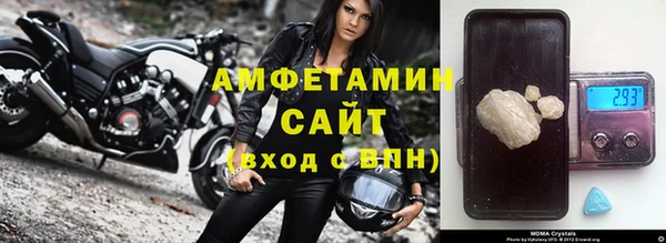 молекула духа Карпинск
