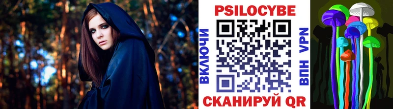 Псилоцибиновые грибы Psilocybe нарко площадка наркотические препараты Кувандык купить наркоту
