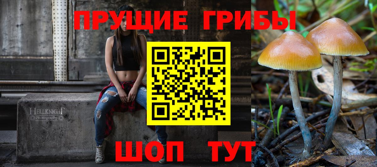 Кувандык  Галлюциногенные грибы Psilocybine cubensis  Галлюциногенные грибы Psilocybe  Вход с VPN 
